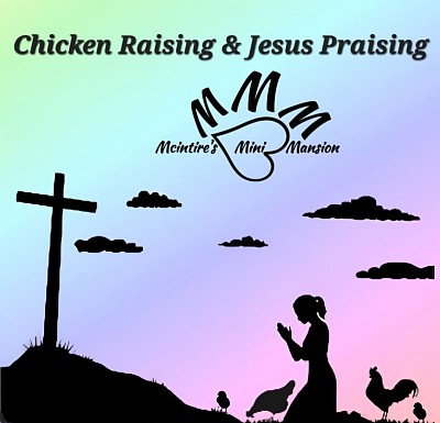 McIntire's Mini Mansion